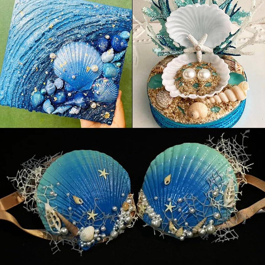 seashell　4枚 Amazon.com: Jangostor 10 PCS Scallop Shells Natural Seashell